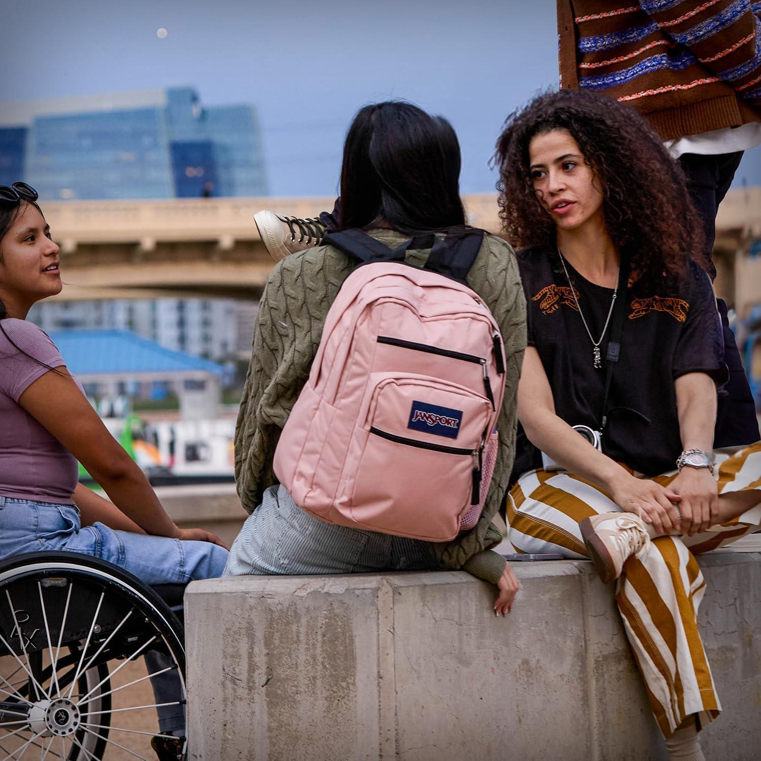 imageJanSport Laptop Backpack  Computer Bag with 2 Compartments Ergonomic Shoulder Straps 15 Laptop Sleeve Haul Handle  Cyberspace GalaxyFaded Sage