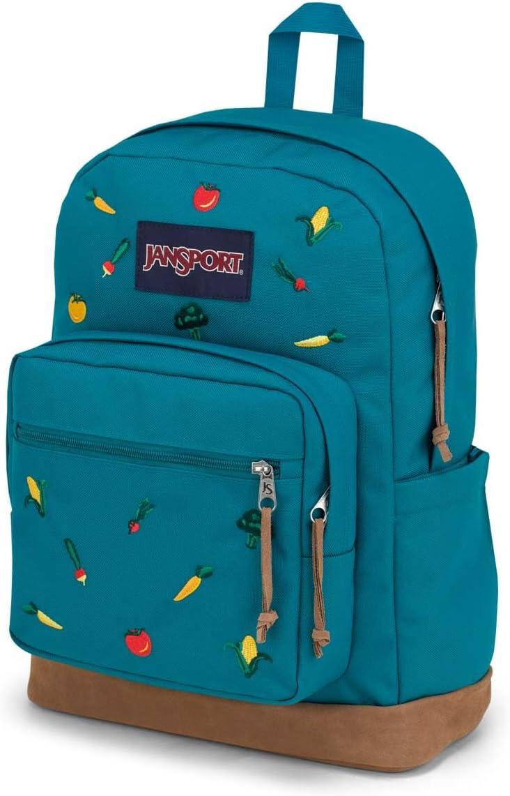 imageJanSport Right Pack Expressions Backpack  Main Compartment 15inch Padded Laptop Compartment Side Water Bottle Pocket Utility Pocket with Zippered Rain Flap Discharge Denim StarEmbroidered Veggies