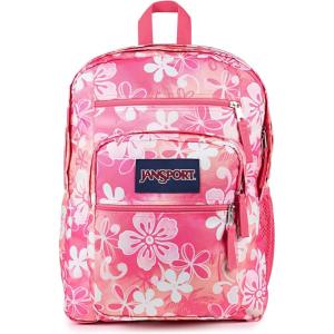 JanSport Laptop Backpack – Computer Bag with 2 Compartments, Ergonomic Shoulder Straps, 15” Laptop Sleeve, Haul Handle – Cyberspace Galaxy(Hiblisscus)