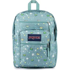 JanSport Laptop Backpack – Computer Bag with 2 Compartments, Ergonomic Shoulder Straps, 15” Laptop Sleeve, Haul Handle – Cyberspace Galaxy(Leapin Lillies)