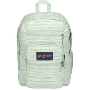 JanSport Laptop Backpack – Computer Bag with 2 Compartments, Ergonomic Shoulder Straps, 15” Laptop Sleeve, Haul Handle – Happy Hearts Black(70s Space Dye Fresh Mint)